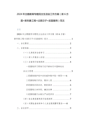 2024年主题教育专题民主生活会工作方案（新6方面+新形象工程+过紧日子+反面案例）范文.docx