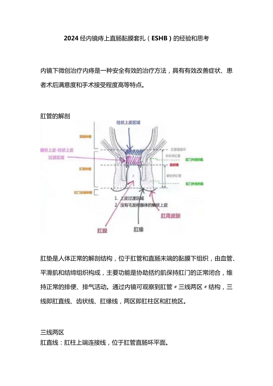 2024经内镜痔上直肠黏膜套扎（ESHB）的经验和思考.docx_第1页