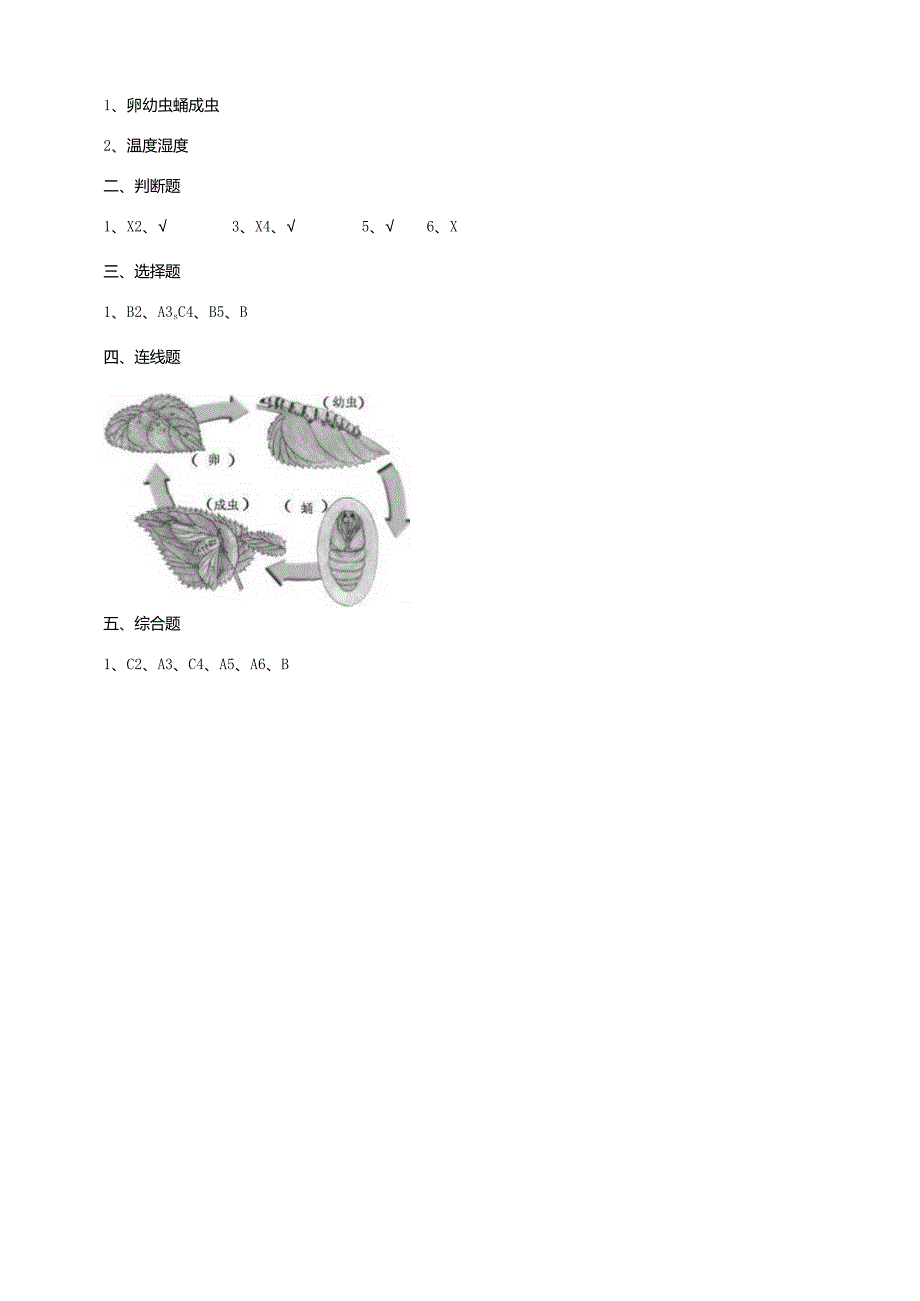 5-15《养蚕》练习（含答案）科学青岛版六三制四年级下册.docx_第3页