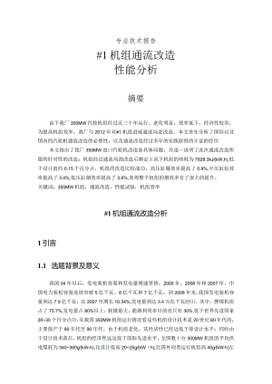 专业技术报告：机组通流改造性能分析.docx