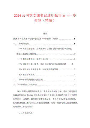 2024公司党支部书记述职报告及下一步打算（精编）.docx