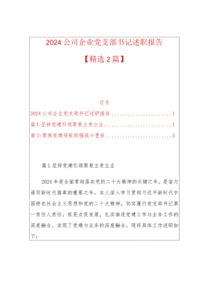 2024企业党支部书记抓党建述职报告（精选）.docx