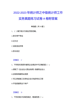 2022-2023年统计师之中级统计师工作实务真题练习试卷A卷附答案.docx