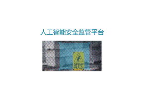 人工智能安全监管平台说明.docx