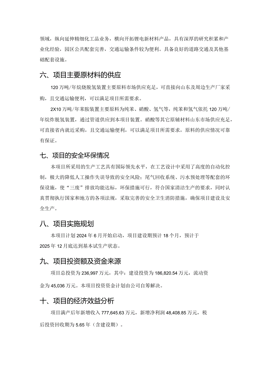 胜华新材料集团股份有限公司锂电及绿色新材料一体化项目可行性研究报告.docx_第3页