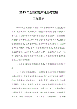 2023年全市行政审批服务管理工作要点.docx