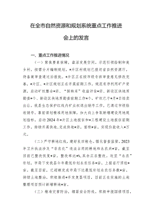 在全市自然资源和规划系统重点工作推进会上的发言.docx