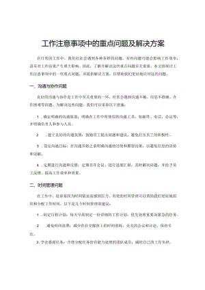 工作注意事项中的重点问题及解决方案.docx