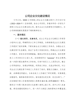 公司企业文化建设情况的报告.docx