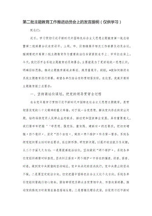 第二批主题教育工作推进动员会上的发言提纲.docx