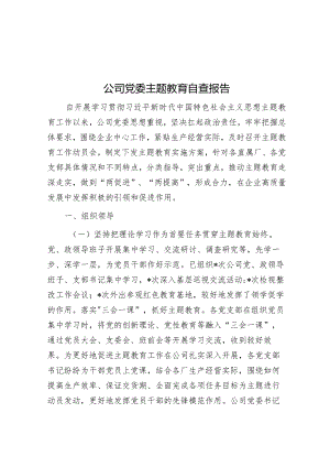 公司党委主题教育自查报告&街道主题教育自查报告.docx