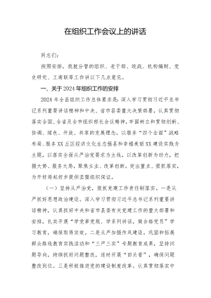 在组织工作会议上的讲话.docx