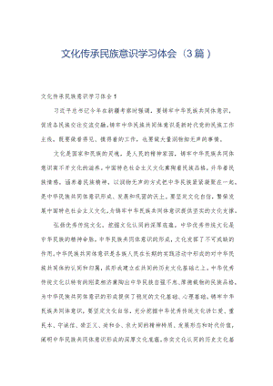 文化传承民族意识学习体会(3篇).docx