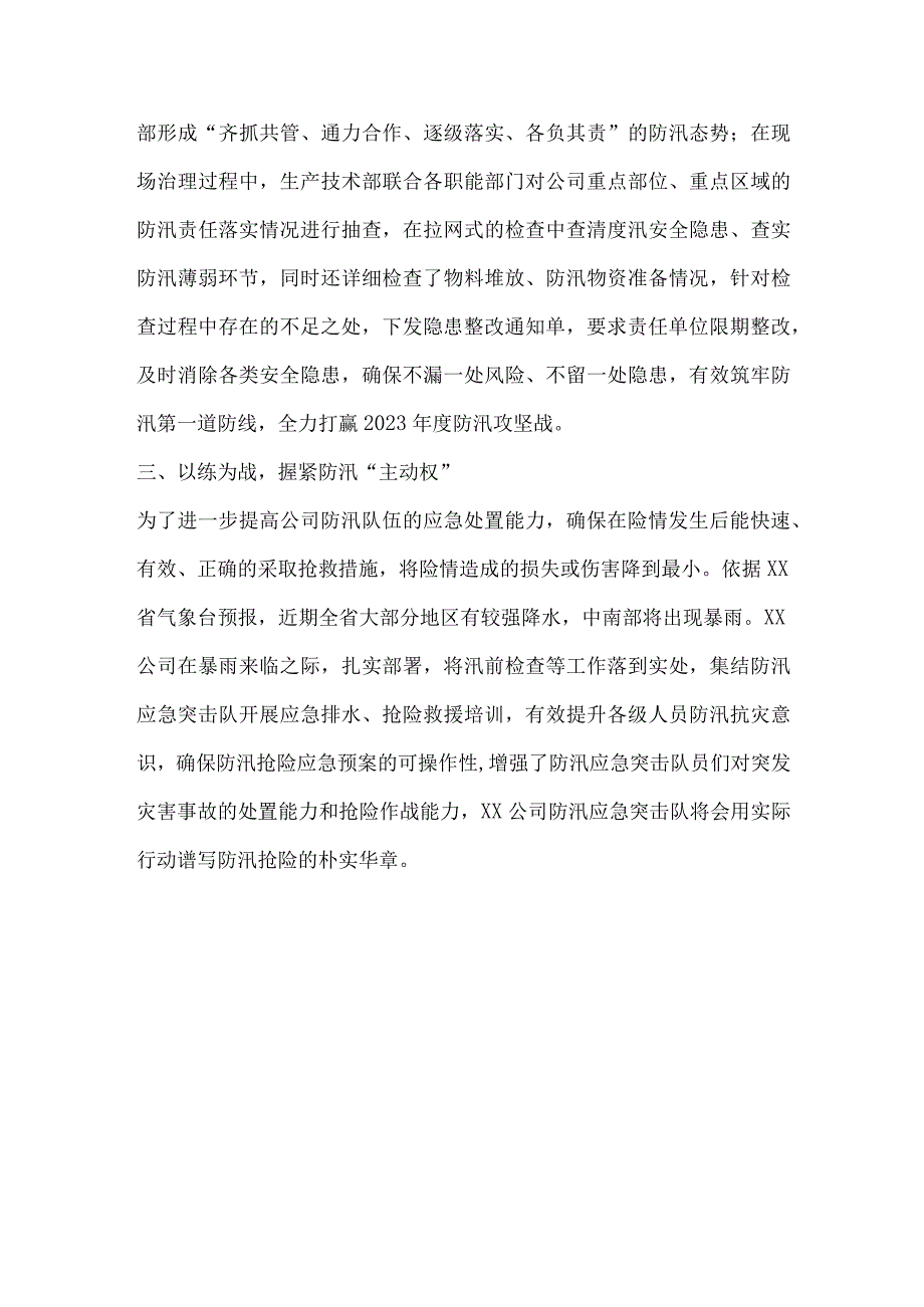 公司防汛工作总结材料.docx_第2页