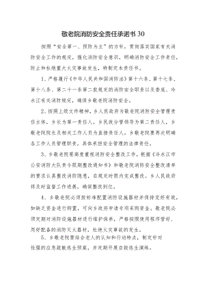 敬老院消防安全责任承诺书30.docx