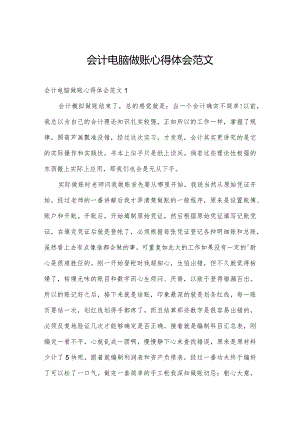 会计电脑做账心得体会范文.docx