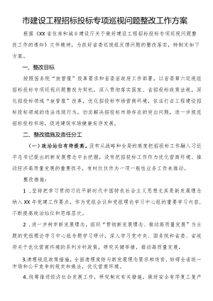 市建设工程招标投标专项巡视问题整改工作方案.docx