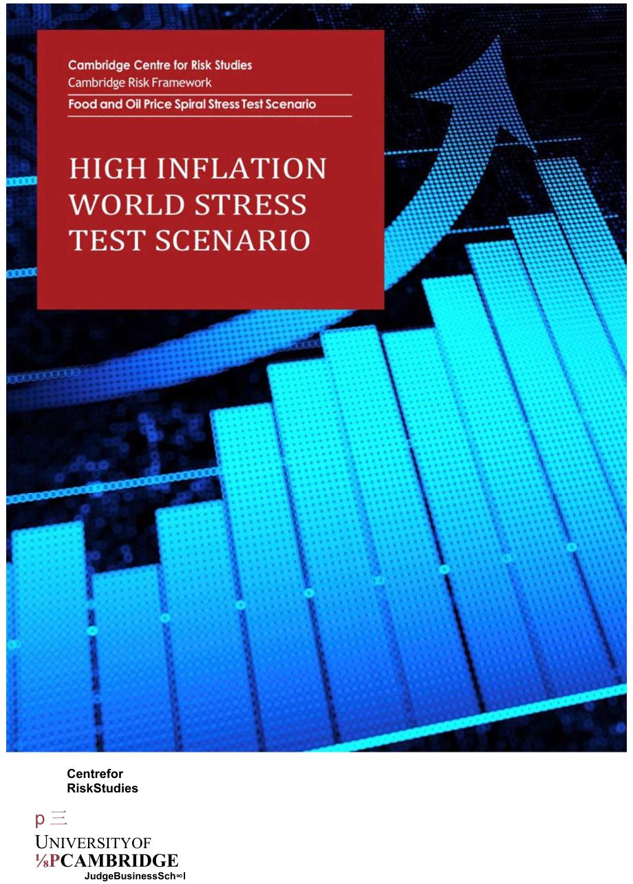 剑桥风险研究中心-高通胀世界金融灾难压力测试（英）_市场营销策划_重点报告202301202_doc.docx_第1页