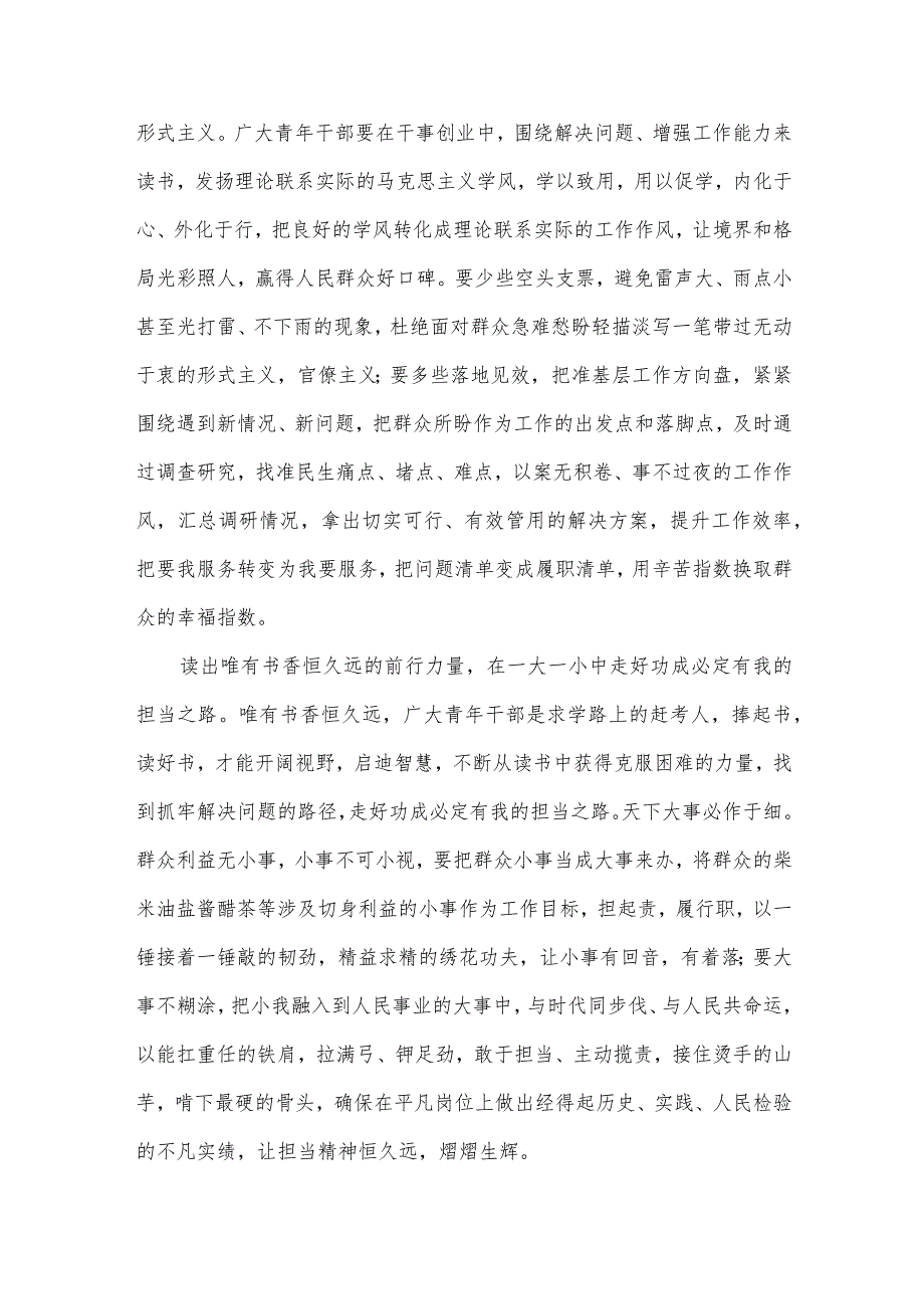 年轻干部主题教育心得体会及启迪（4篇）.docx_第2页