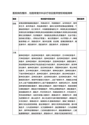 医院烧伤整形创面修复外科诊疗项目医师授权明细清单.docx