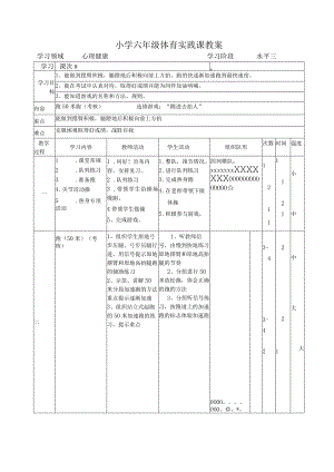 小学六年级体育实践课教案.docx