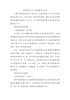 消防极端天气应急救援亮点做法.docx