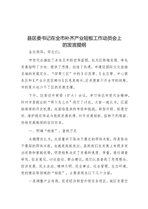 县区委书记在全市补齐产业短板工作动员会上的发言提纲&在市延安精神研究会代表大会上的讲话.docx