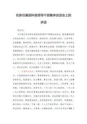 在新任领导干部集体谈话会上的讲话.docx