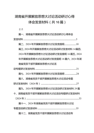 2024湖南省开展解放思想大讨论活动研讨心得体会发言材料16篇（详细版）.docx