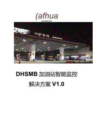 大华-SMB加油站智能监控解决方案.docx