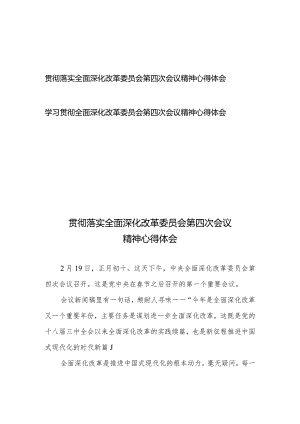 学习贯彻落实全面深化改革委员会第四次会议精神心得体会2篇.docx