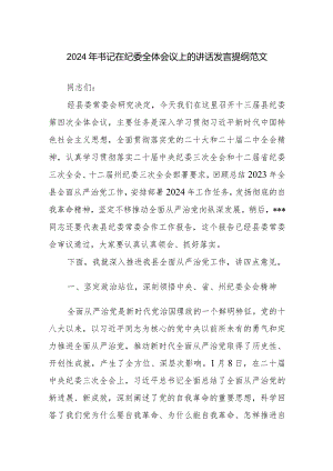 2024年书记在纪委全体会议上的讲话发言提纲范文.docx