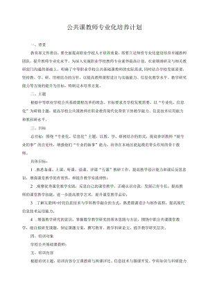 公共课教师专业化培养计划.docx