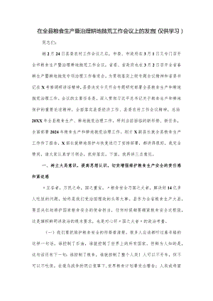 在全县粮食生产暨治理耕地抛荒工作会议上的发言.docx