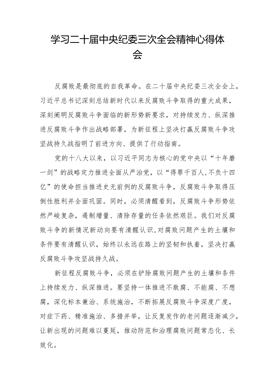 关于二十届中央纪委三次全会精神的心得体会简短发言十九篇.docx_第3页