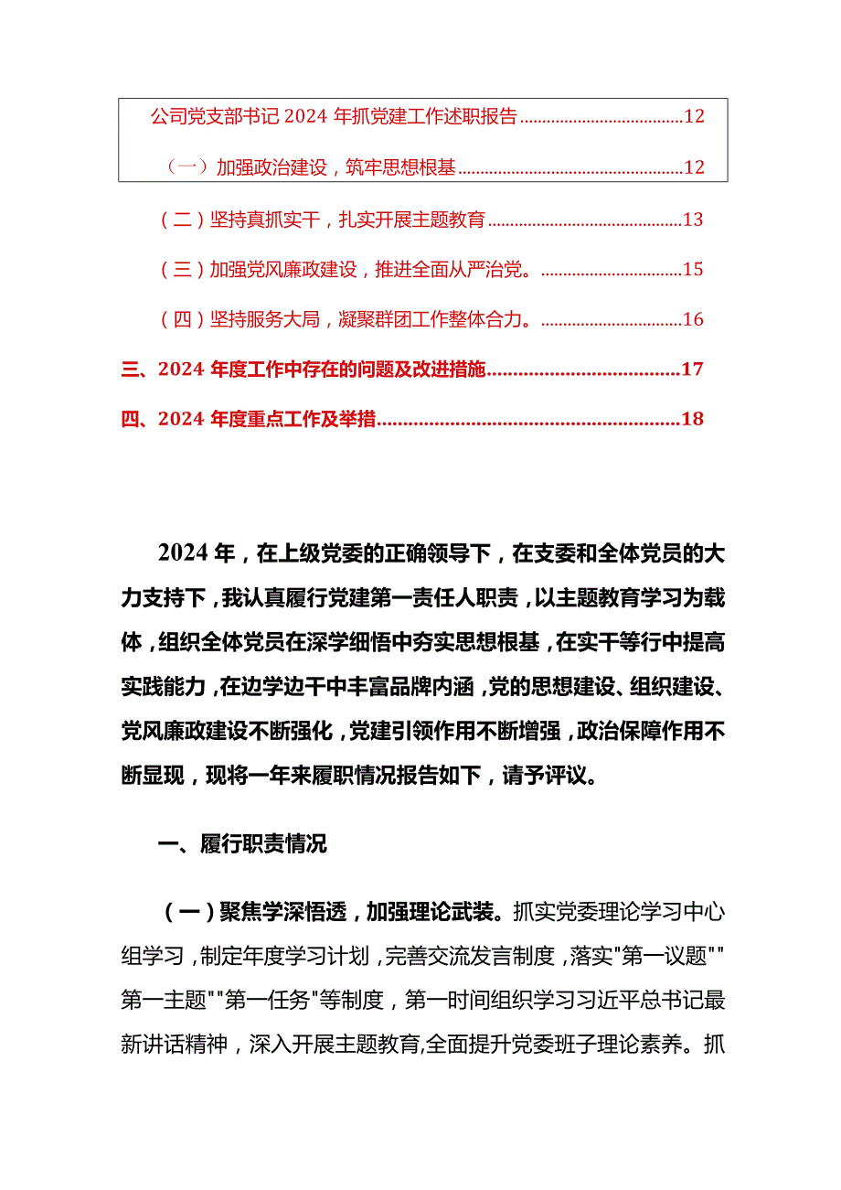 2024年党支部书记度抓党建工作述职报告（精选）.docx_第2页