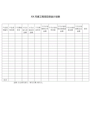 XX月度工程项目资金计划表.docx