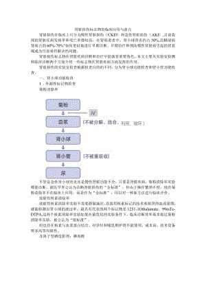 肾脏损伤标志物的临床应用与盘点.docx