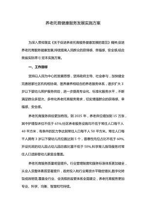 养老托育健康服务发展实施方案.docx