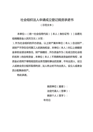 会计师事务所出具的验资报告及捐资承诺书.docx