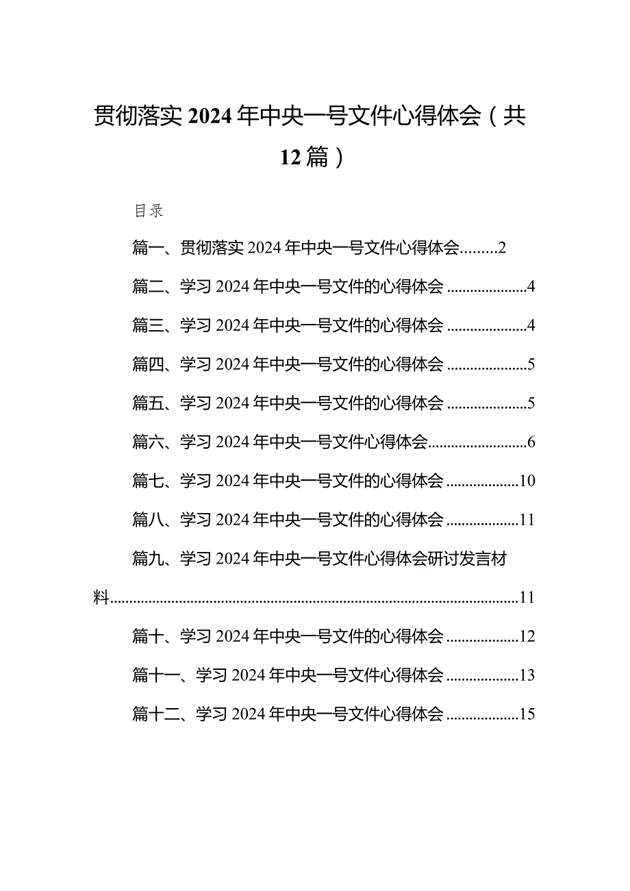 贯彻落实2024年中央一号文件心得体会12篇（详细版）.docx_第1页