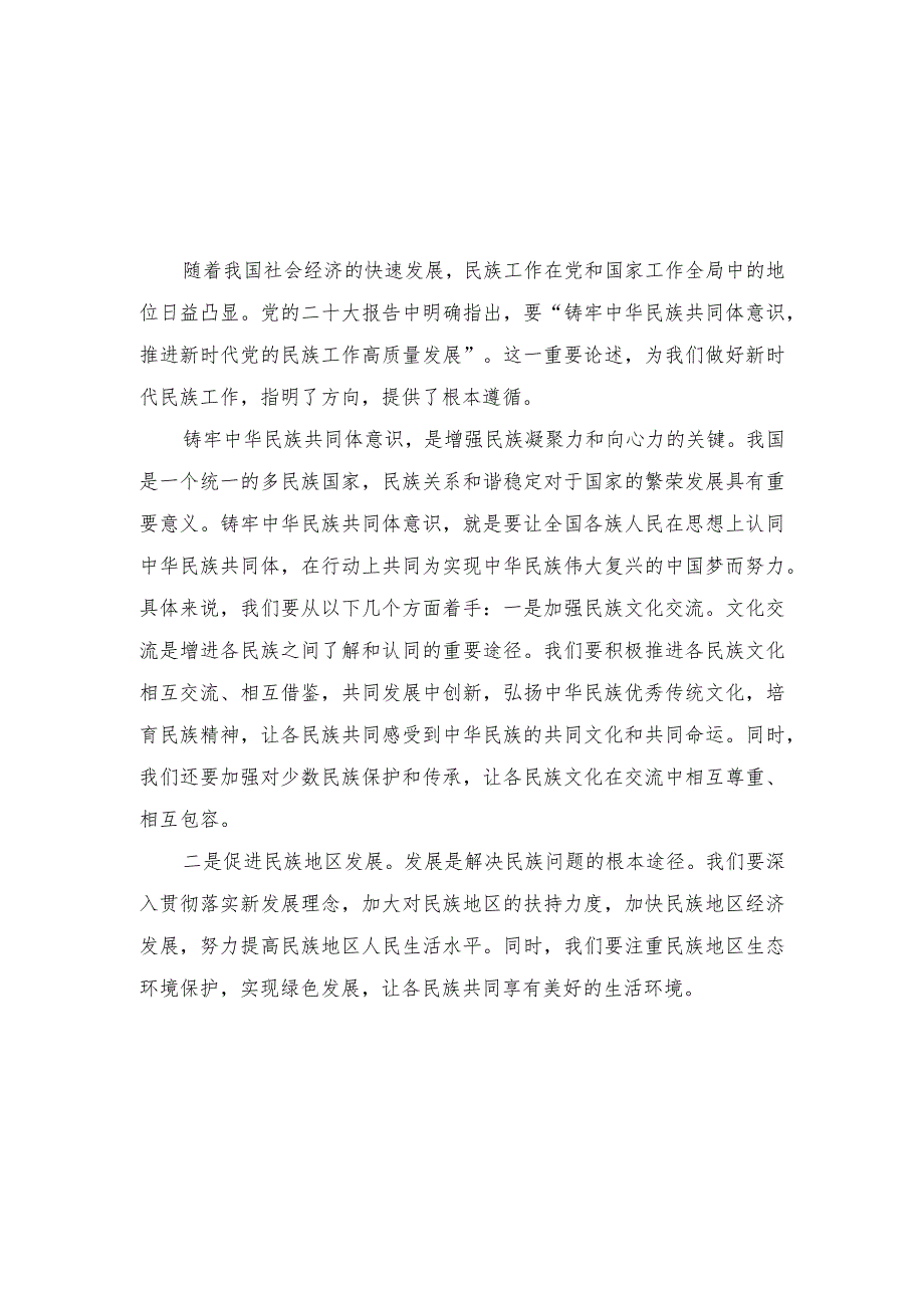 （2篇）2024年学习《铸牢中华民族共同体意识 推进新时代党的民族工作高质量发展》心得体会.docx_第3页