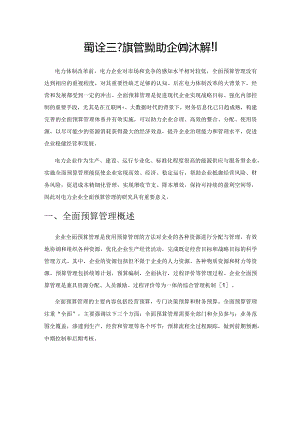 基于全面预算管理的电力企业成本控制.docx