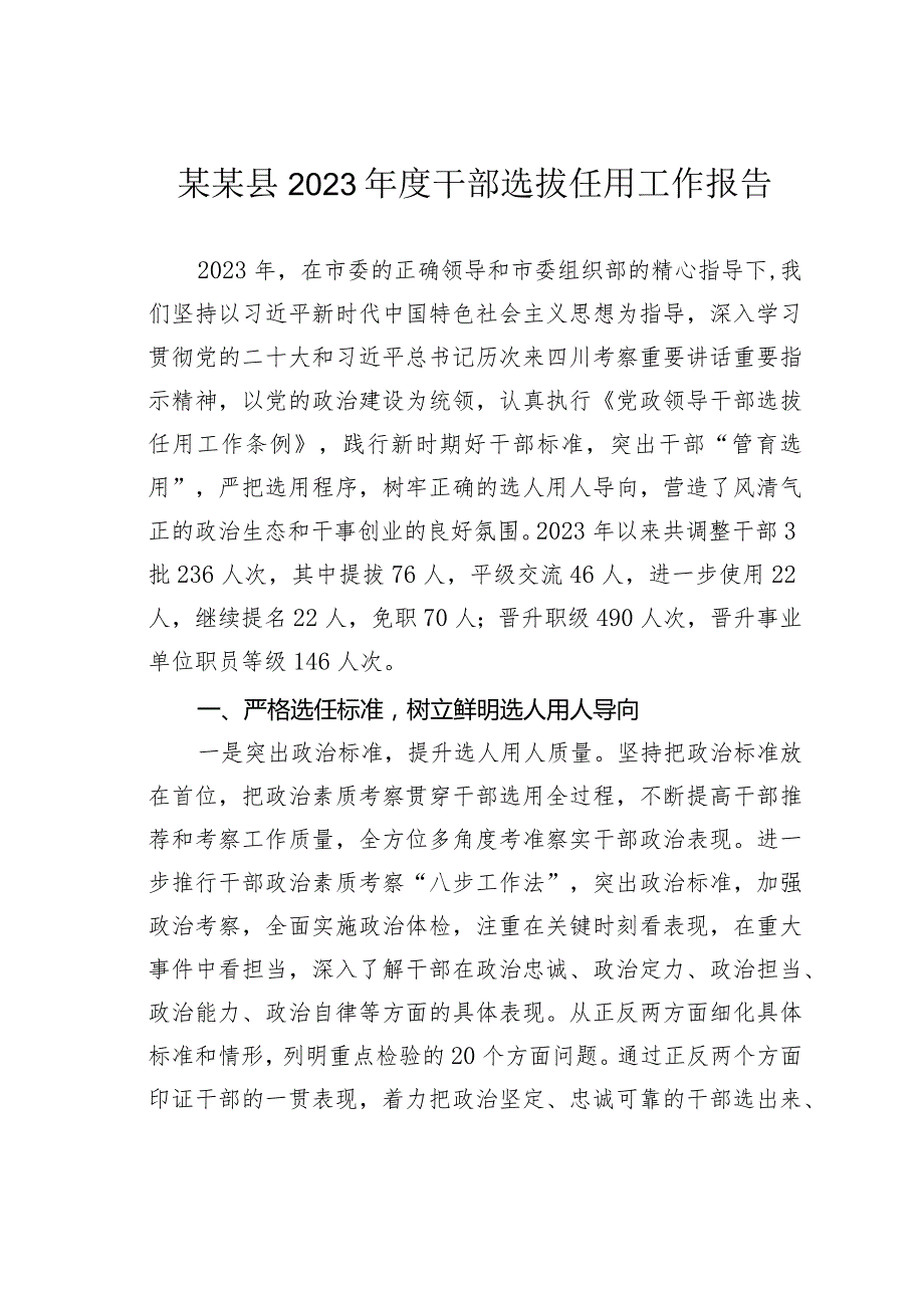 某某县2023年度干部选拔任用工作报告.docx_第1页