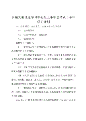 2024年乡镇党委理论学习中心组上半年总结及下半年学习计划.docx