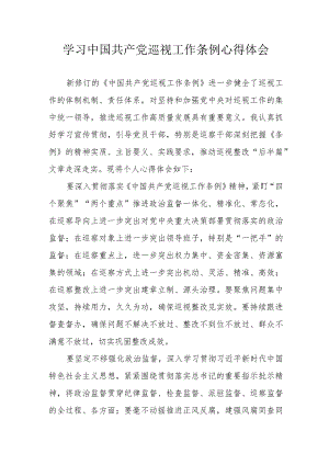 央企党员干部学习中国共产党巡视工作条例个人心得体会 （3份）.docx