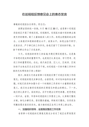 在巡视组反馈意见会上的表态发言.docx