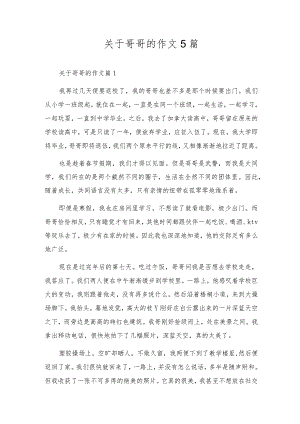 关于哥哥的作文5篇.docx