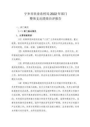 宁乡市农业农村局2022年部门整体支出绩效自评报告.docx