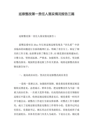 巡察整改第一责任人落实情况报告三篇.docx